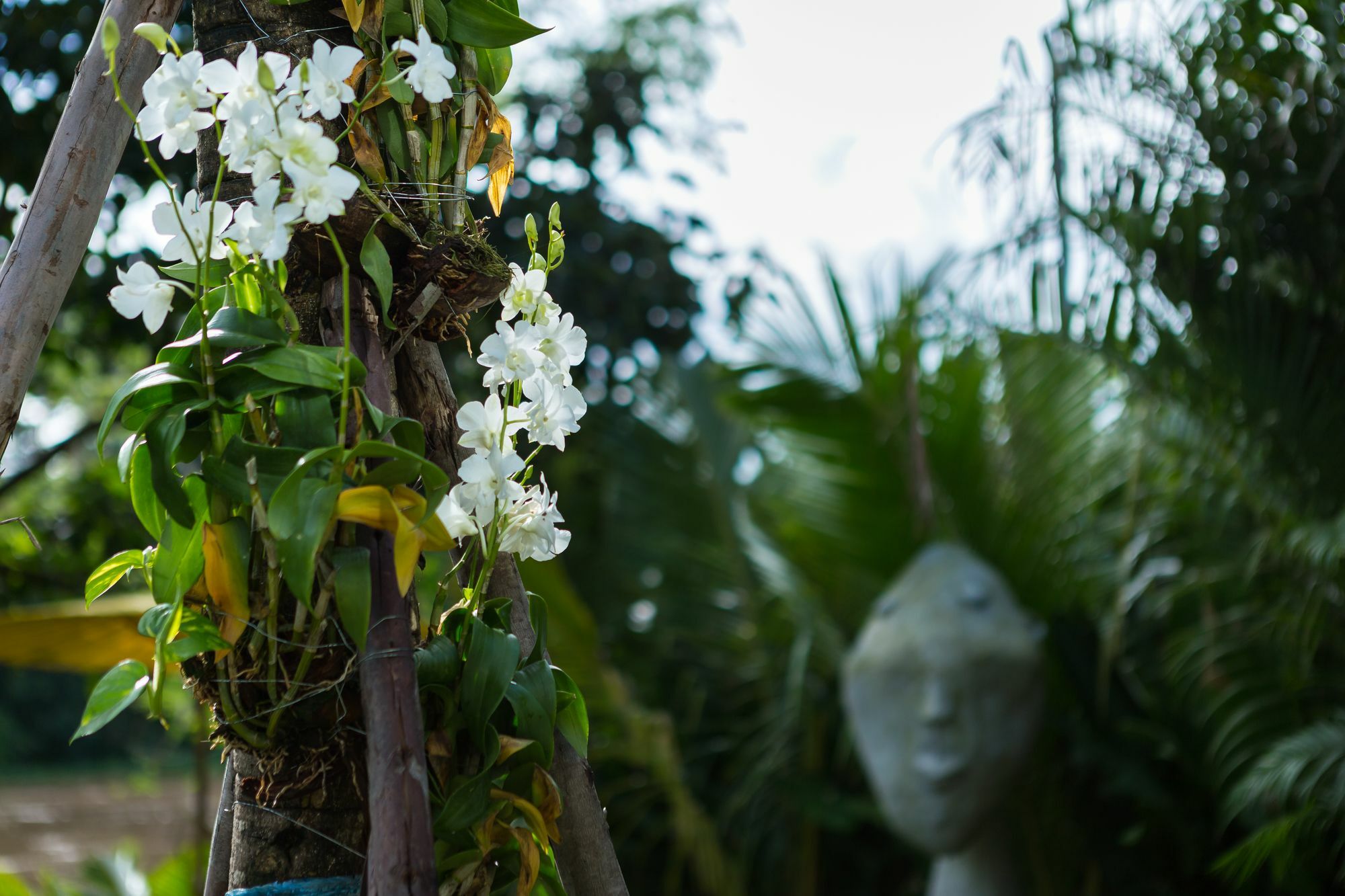 River Art Hotel Chiang Mai Exterior photo